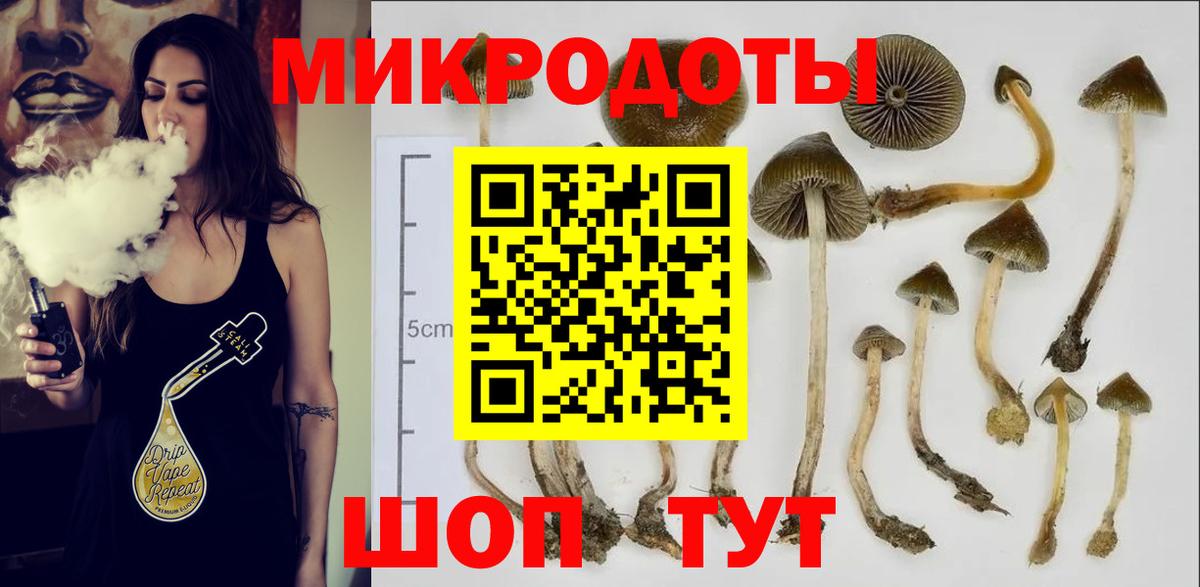Воронеж  Галлюциногенные грибы ЛСД  Вход с VPN 
